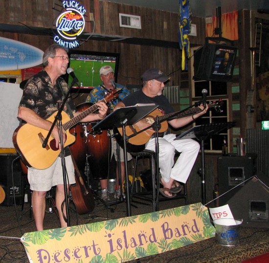 Gallery photo 1 of The Desert Island Band