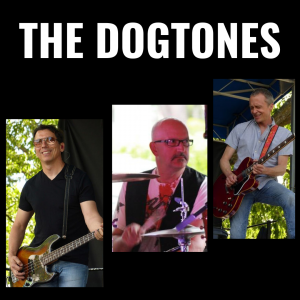 The Dogtones - Wedding Band in Seattle, Washington