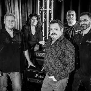 The Enablers - Cover Band / Party Band in Dundas, Ontario