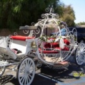 The Enchanted Carriage Company