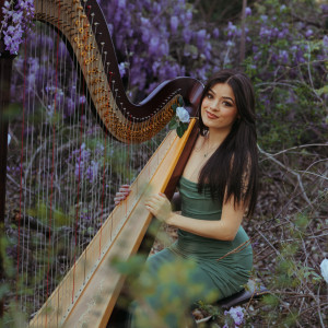 The Enchanted Harpist - Harpist in Cumming, Georgia