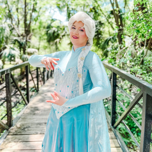 The Enchanted Wardrobe - Children’s Music in Tampa, Florida