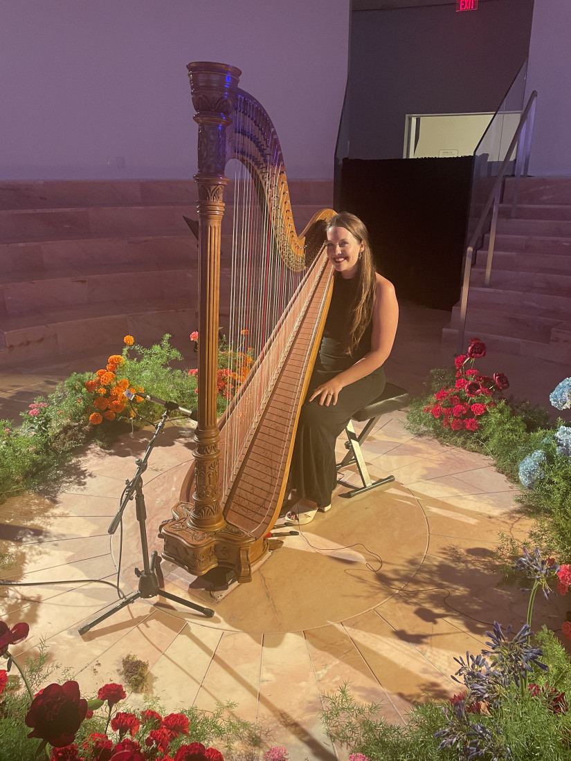 Gallery photo 1 of The Fairytale Harpist