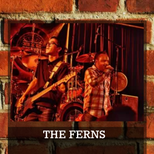The Ferns - Rock Band in Aliso Viejo, California