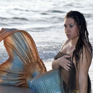 The Florida Mermaid