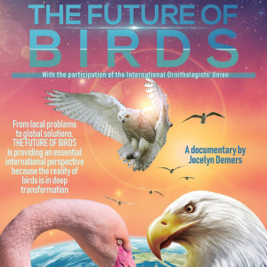 The Future of Birds: Film + Speaker