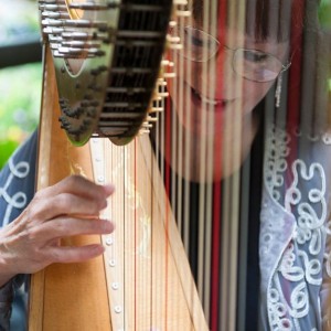 The Gold Harp - Laurie Galster - Harpist in Phoenix, Arizona