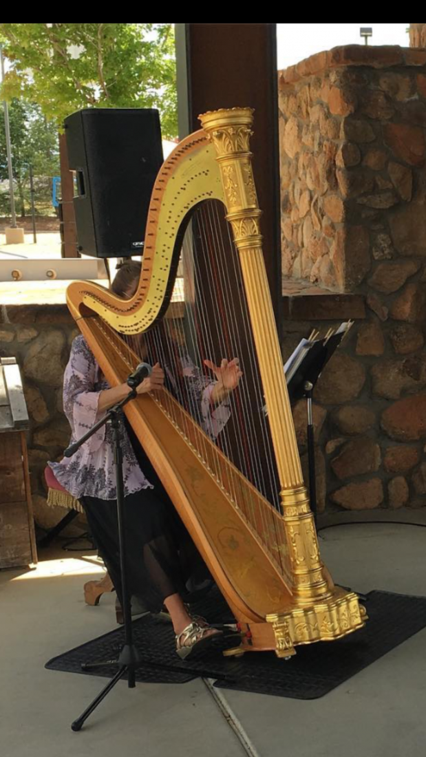 Gallery photo 1 of The Gold Harp - Laurie Galster