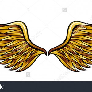 The golden wings