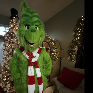 The Grinch - Costumed Character in Cedar Hill, Texas