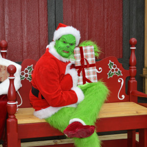 The Grinch for Hire - Holiday Entertainment in North Ridgeville, Ohio