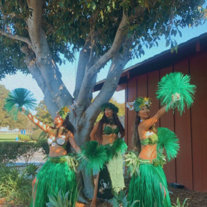 The Heart of The Islands - Hula Dancer / Holiday Entertainment in Los Angeles, California