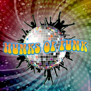 The Hunks Of Funk - Top 40 Band in Tampa, Florida