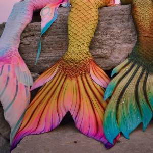 The Illinois Merpod - Mermaid Entertainment in Elgin, Illinois