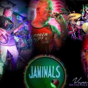 The Jaminals - Rock Band in West Palm Beach, Florida