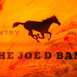 The Joe D Band