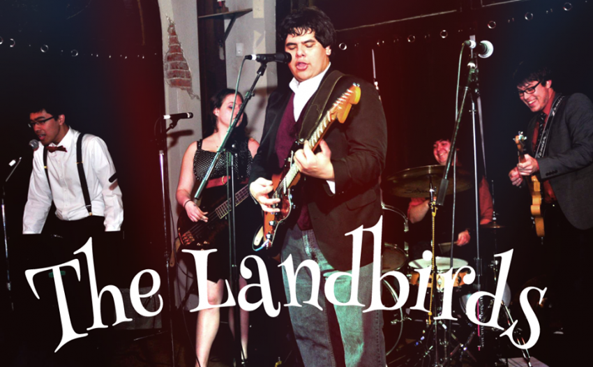 Gallery photo 1 of The Landbirds