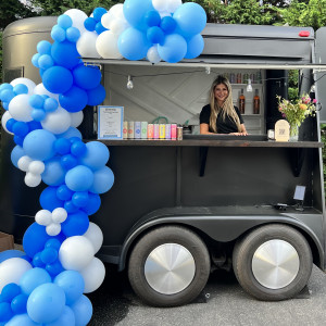 The LIE Mobile Bar - Bartender in Patchogue, New York