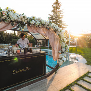 The Liquid Maestros - Bartender / Wedding Services in Minneapolis, Minnesota