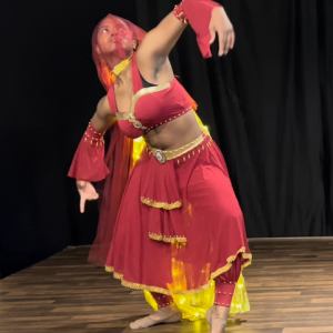 The Majestic Mover - Bollywood Dancer in Atlanta, Georgia