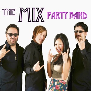 The Mix Party Band