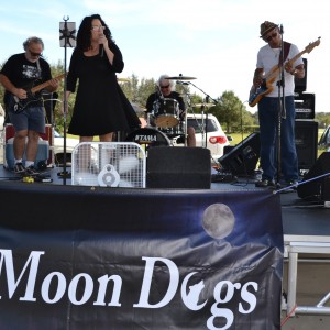 The Moon Dogs - Classic Rock Band in Melbourne, Florida