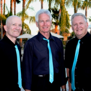 The Moonlighters Band - Oldies Music in Mesa, Arizona