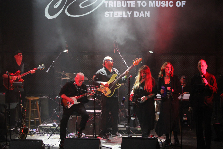 Hire The Music of STEELY DAN Featuring Steely Dan Tribute Band in