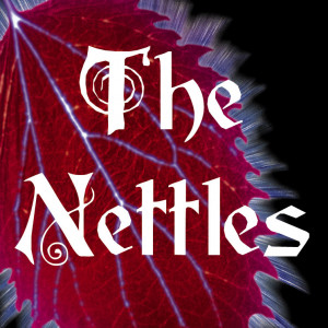 The Nettles - Celtic Music in Corvallis, Oregon
