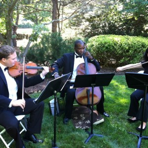 The New York String Ensemble