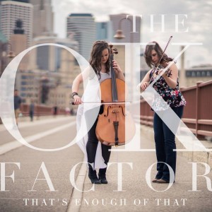 The OK Factor - Acoustic Band / Classical Ensemble in Minneapolis, Minnesota