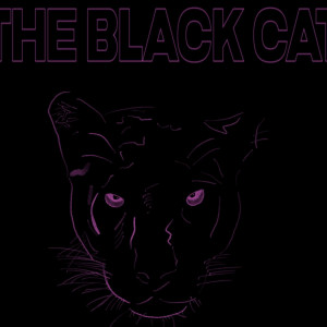 DJ Black Cat - DJ / Acoustic Band in Birmingham, Alabama