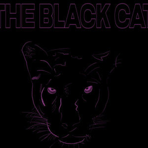 DJ Black Cat - DJ / College Entertainment in Birmingham, Alabama