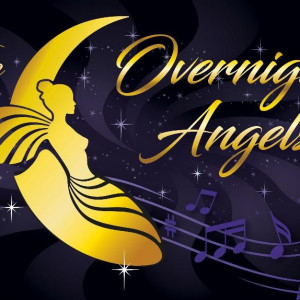 The Overnight Angels - Americana Band in Athens, Georgia