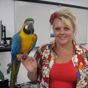 The Paradise Parrot Show