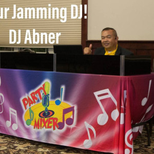 The Party Mixer - Wedding DJ / Wedding Musicians in Georgetown, Texas