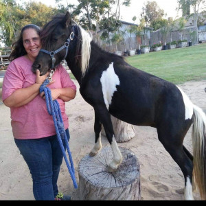 The Party Pets - Pony Party in Ontario, California