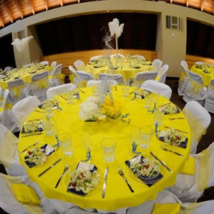 The Party Redux - Party Rentals / Tables & Chairs in Harrisburg, North Carolina