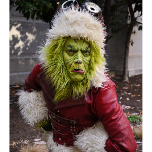 Sophisticated Seuss - Costumed Character / Mrs. Claus in Mount Ephraim, New Jersey