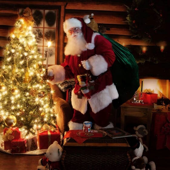 Hire The Premier Santa Group - Santa Claus in Crystal Lake, Illinois