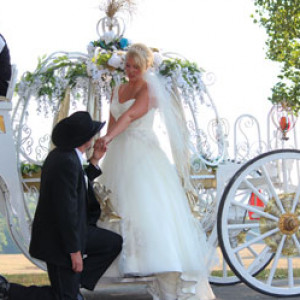 The Princess's Carriage - Horse Drawn Carriage / Wedding Services in Rose Bud, Arkansas