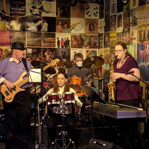The Purple Herons - Cover Band in Beaverton, Oregon