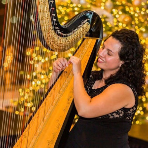The Romantic Harp - Harpist in Miami, Florida