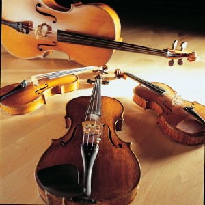 The Rubato String Quartet