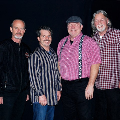 Hire The Ruckus Band - Blues Band in Danville, California