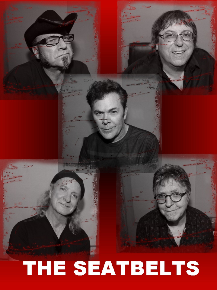 Hire The seatbelts Rock Band in Ann Arbor, Michigan