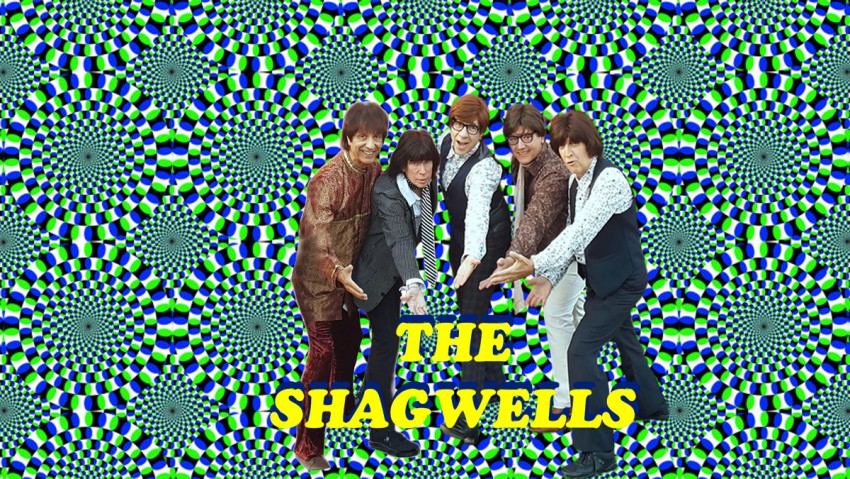 Gallery photo 1 of The Shagwells