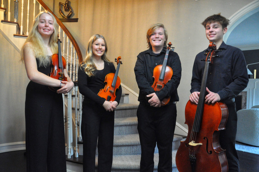 Gallery photo 1 of The Silver Strings Quartet