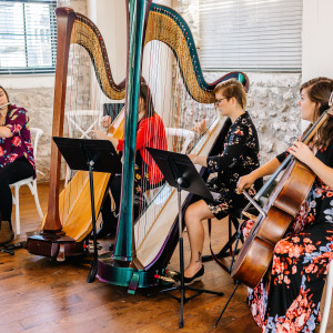 The Soenen Sisters - Harp Flute and Cello - Harpist / Classical Duo in Toronto, Ontario