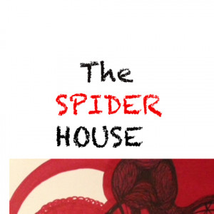 The Spider House - Tarot Reader in Baltimore, Maryland